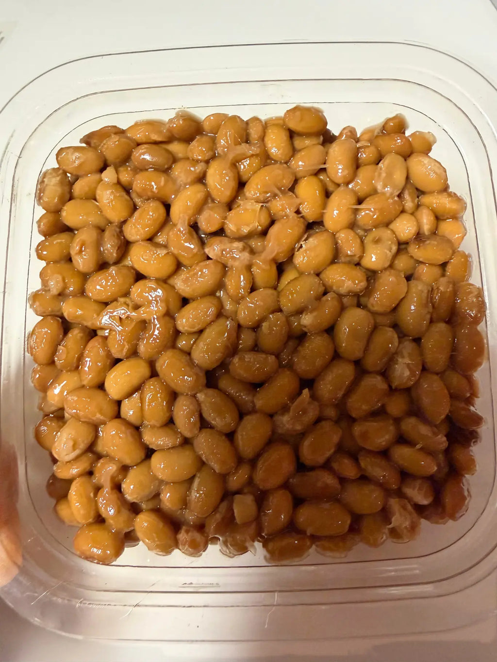 WA-LABO NATTO (Organic large beans) 200g