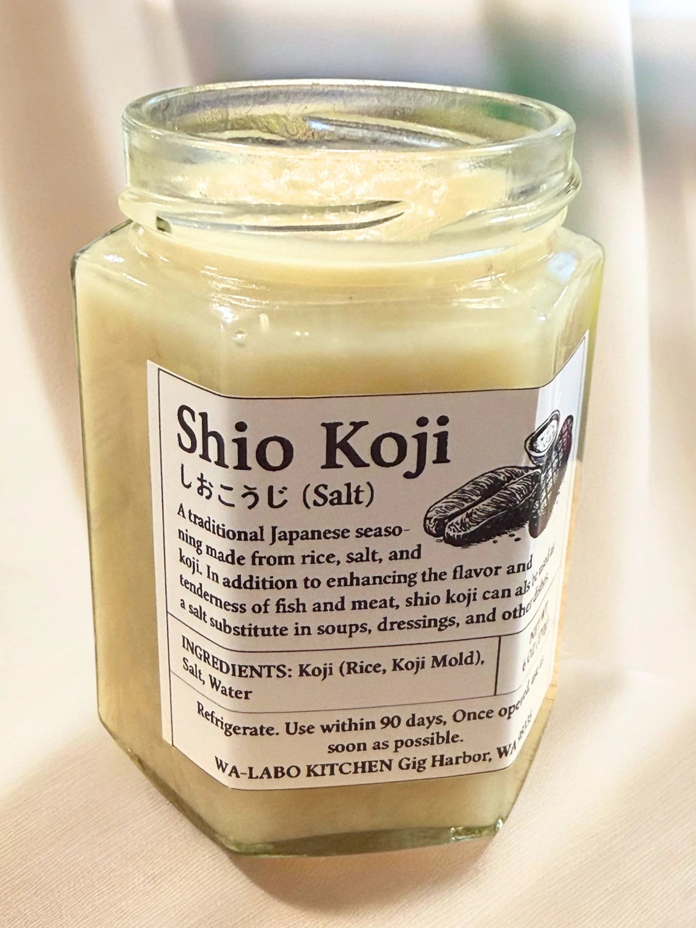 Shio-Koji (Fermented Rice Seasoning)